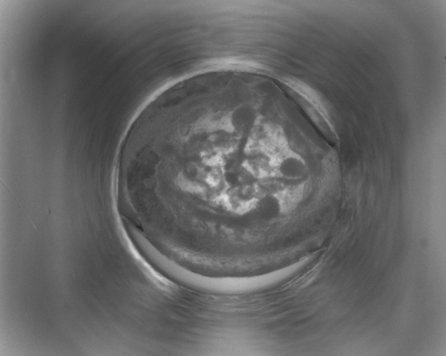 X0000075811391200609291334