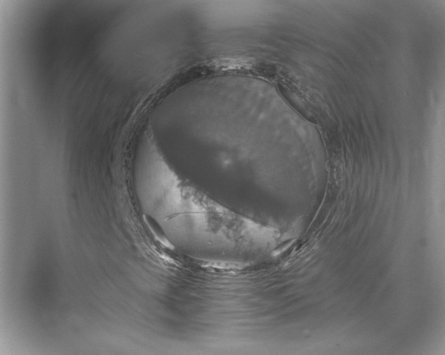 X0000075811393200609291333