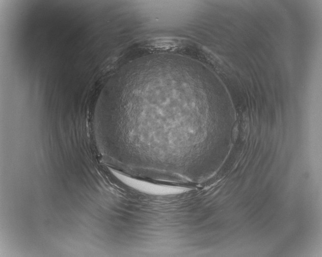 X0000075811394200609291333