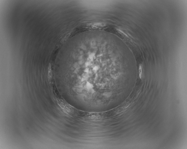 X0000075811395200609291333