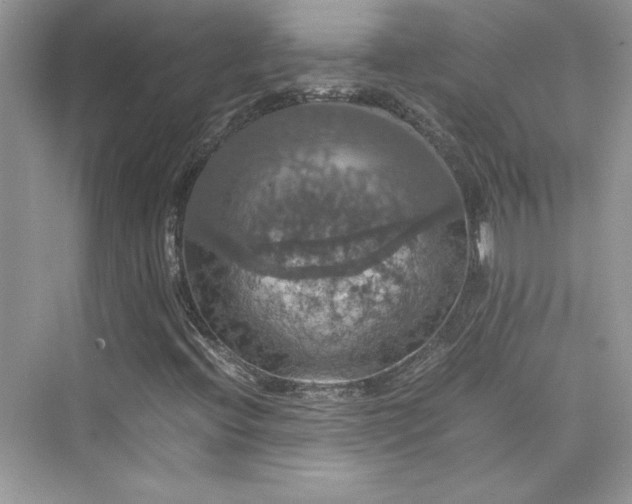 X0000075811396200609291333