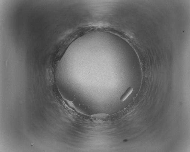 X0000075811398200609291333