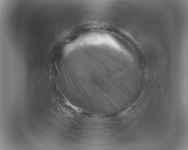 X0000075811399200609291333