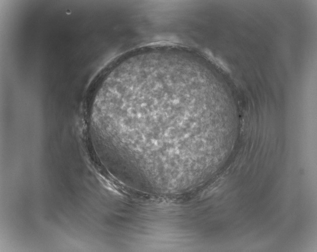 X0000075811400200609291333