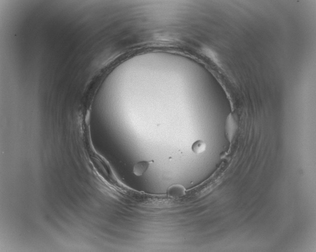 X0000075811402200609291333