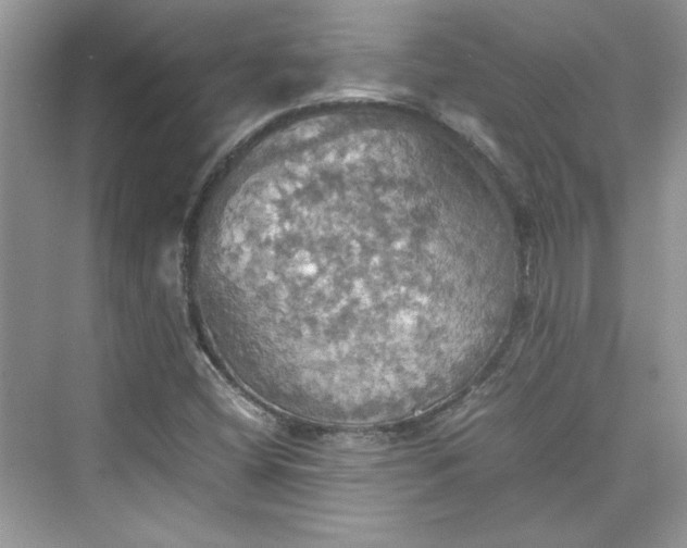 X0000075811404200609291333