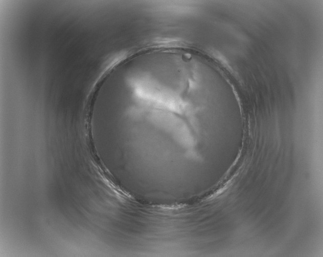 X0000075811405200609291333