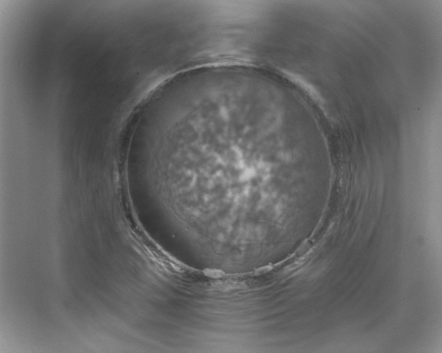 X0000075811407200609291333