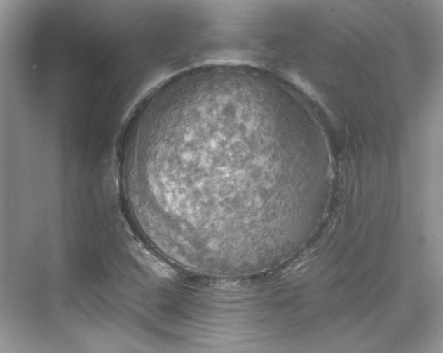 X0000075811408200609291333