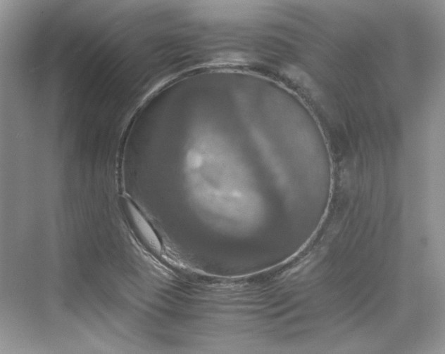 X0000075811409200609291333