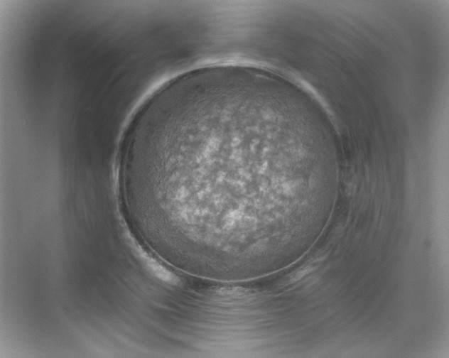 X0000075811416200609291333