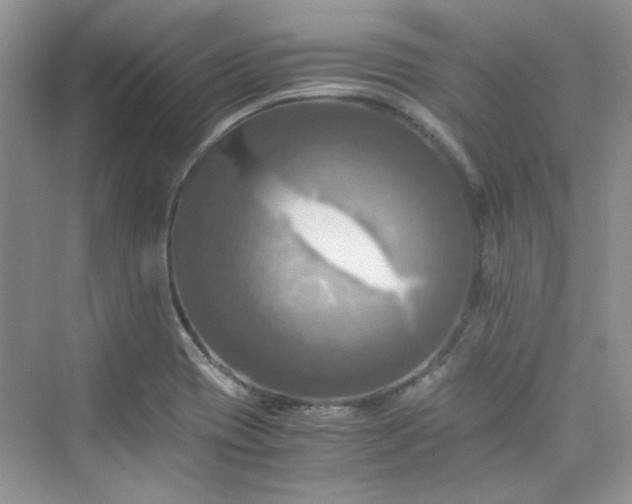 X0000075811417200609291333