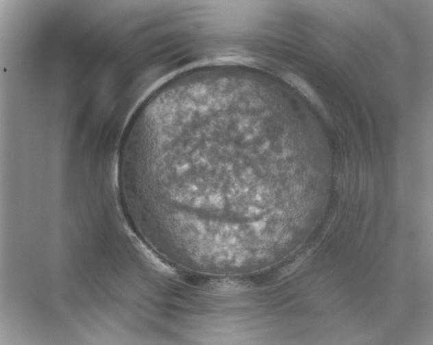 X0000075811420200609291333