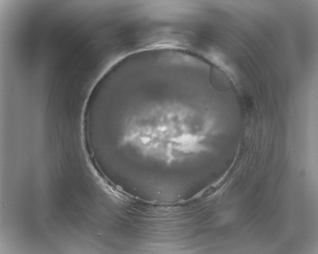 X0000075811423200609291333