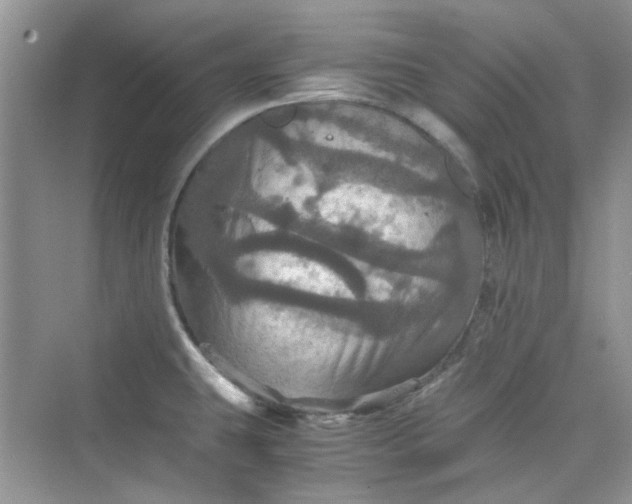 X0000075811431200609291333