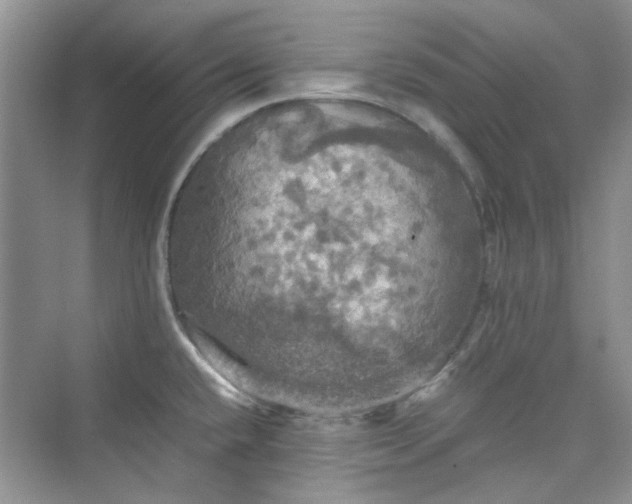 X0000075811432200609291333