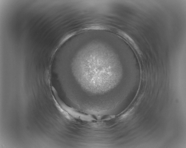 X0000075811433200609291333