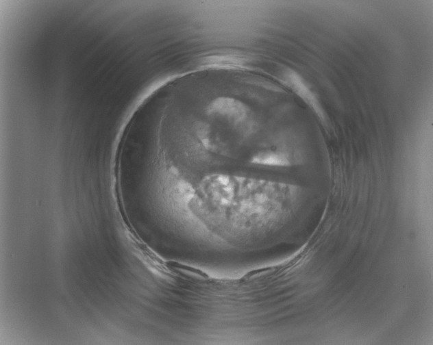 X0000075811435200609291333