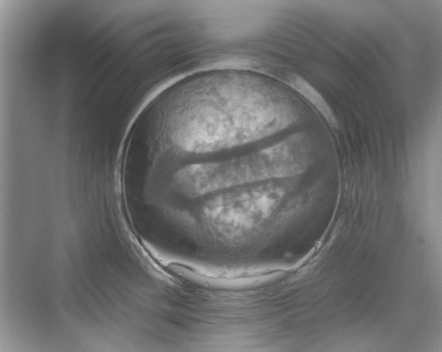 X0000075811436200609291333