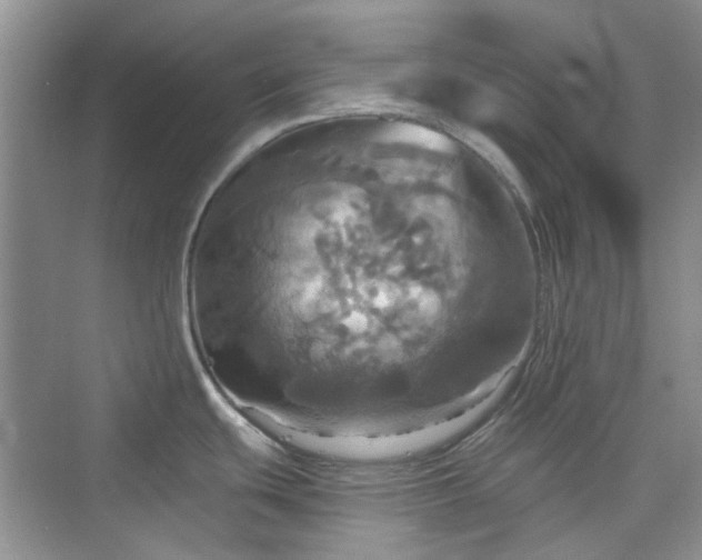 X0000075811439200609291334