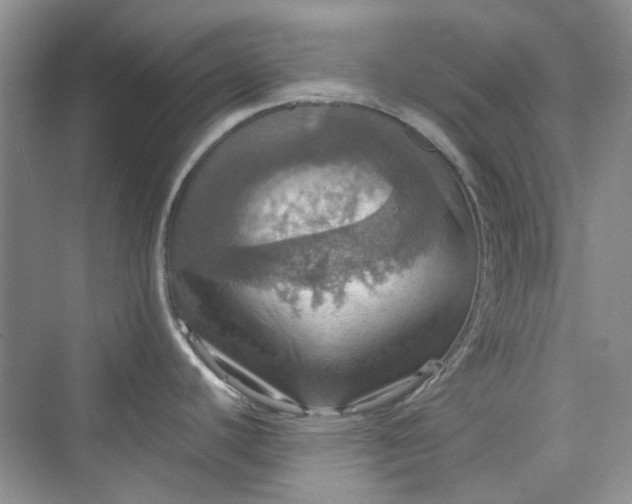 X0000075811440200609291334