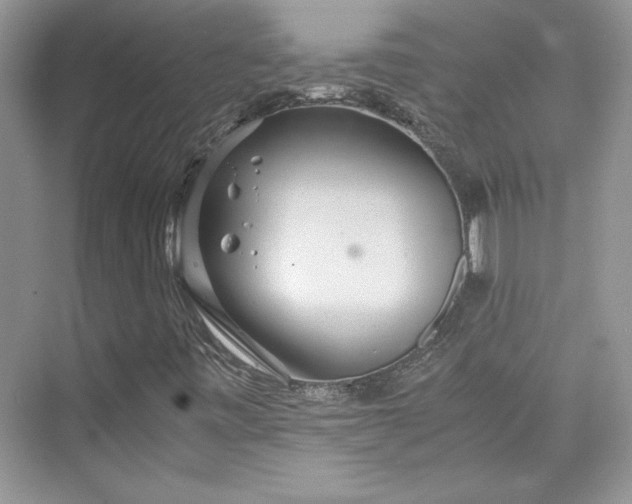 X0000075811443200609291333