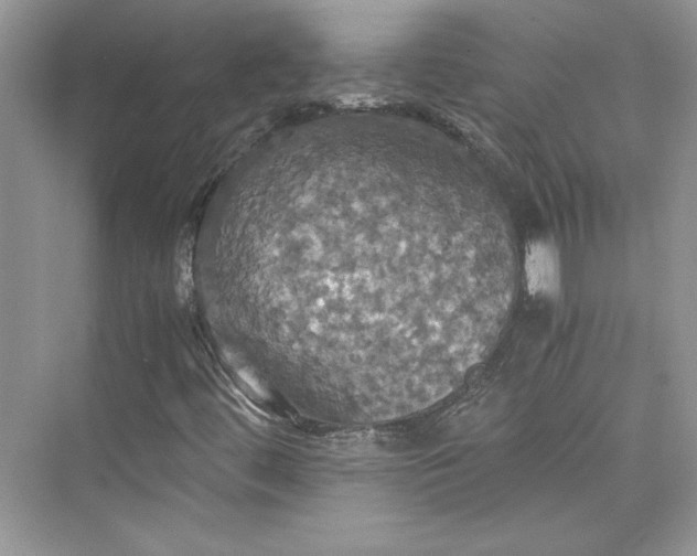 X0000075811444200609291333