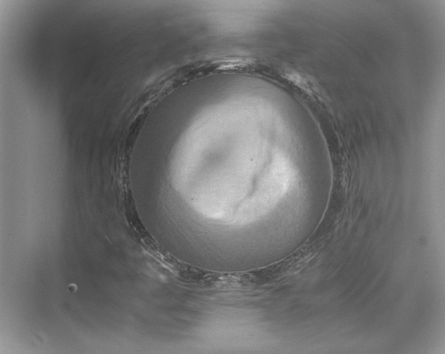 X0000075811445200609291333