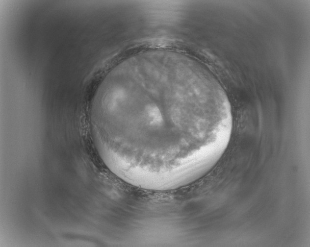 X0000075811446200609291333