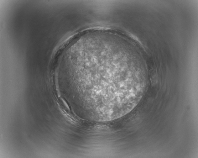 X0000075811448200609291333