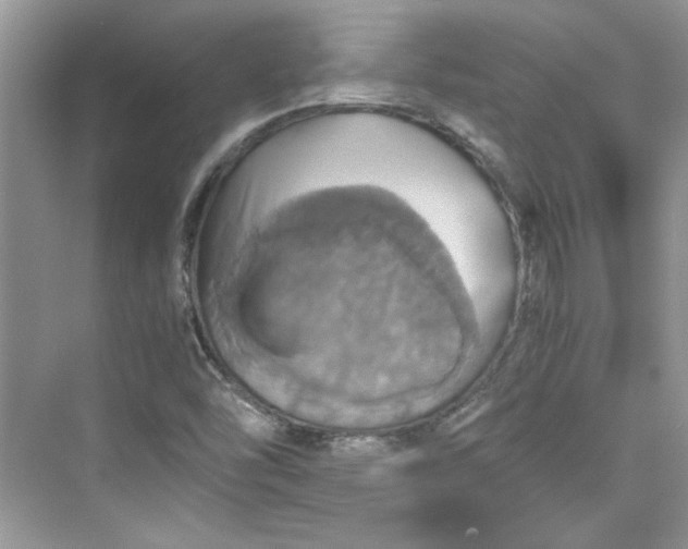 X0000075811454200609291333