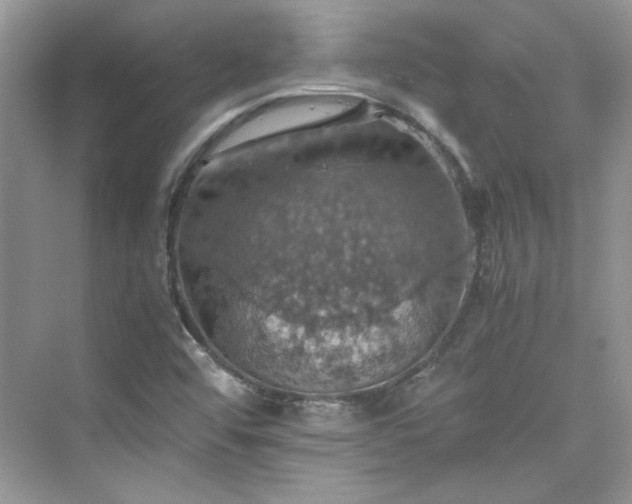 X0000075811456200609291332