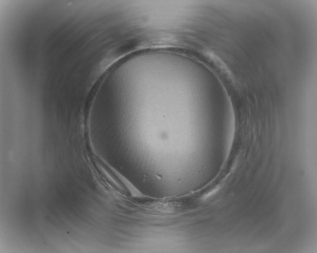 X0000075811457200609291332