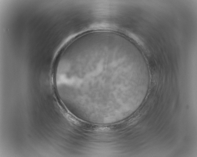 X0000075811462200609291332