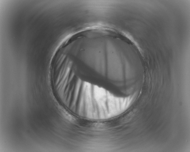 X0000075811463200609291332