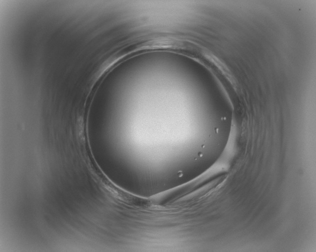 X0000075811465200609291332