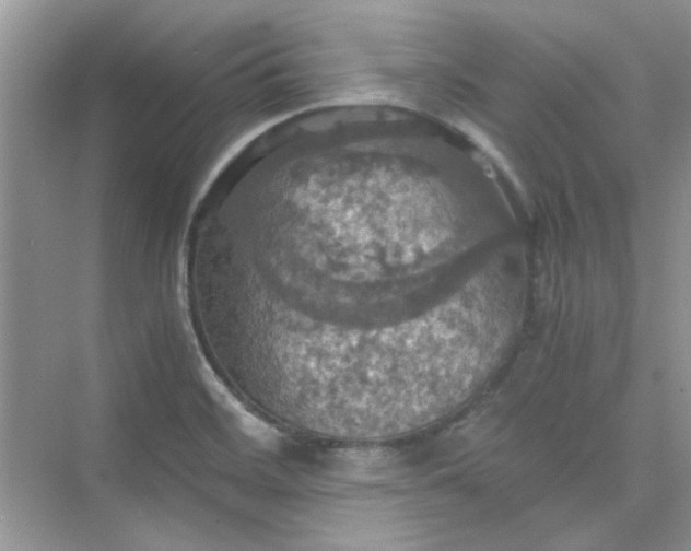 X0000075811468200609291332