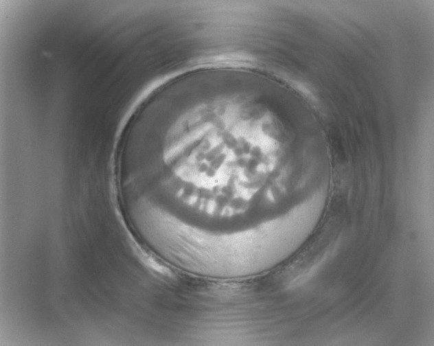 X0000075811470200609291332