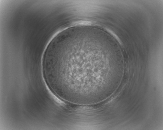 X0000075811475200609291332