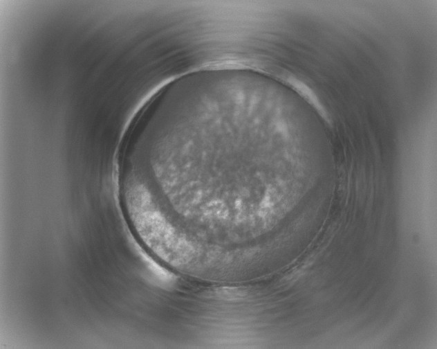 X0000075811476200609291332