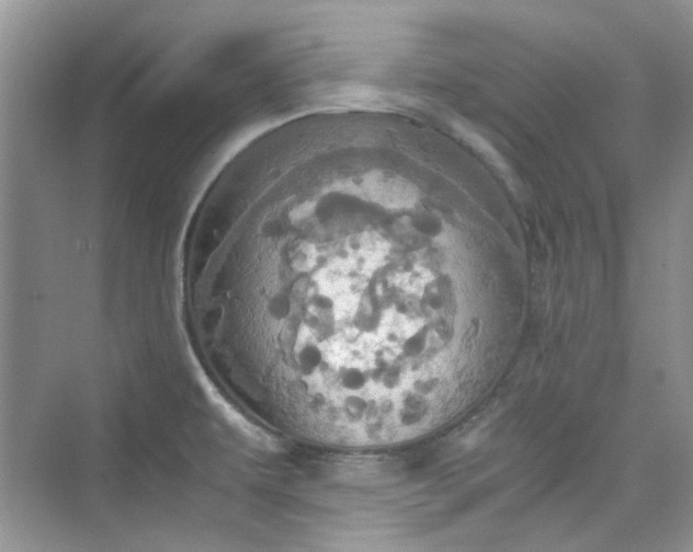 X0000075811479200609291332