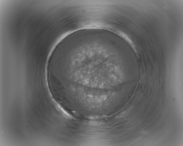 X0000075811480200609291332