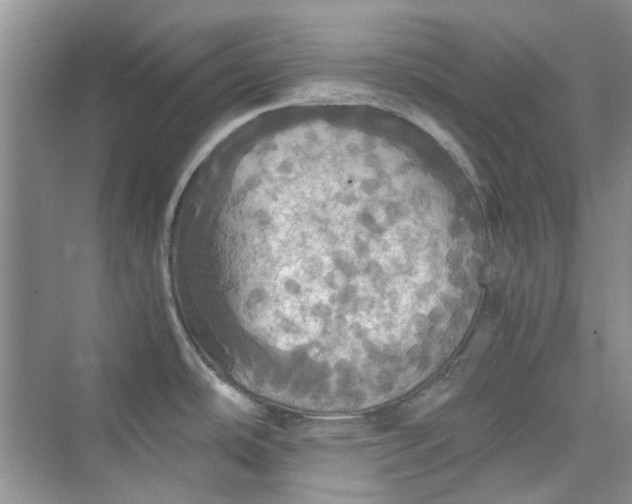 X0000075811486200609291332