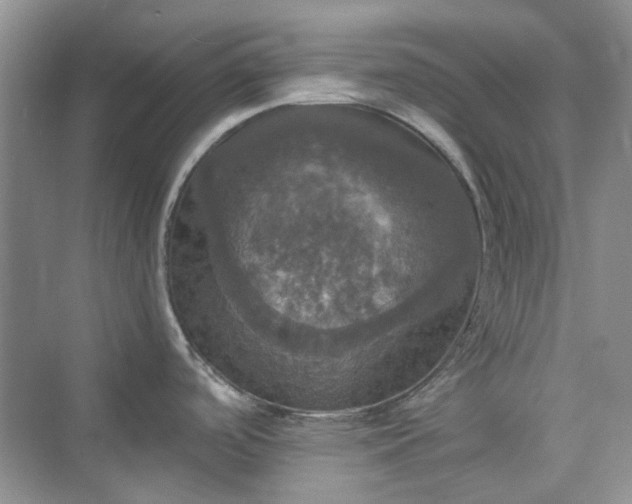 X0000075811488200609291332