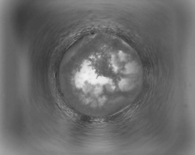 X0000075811489200609291331