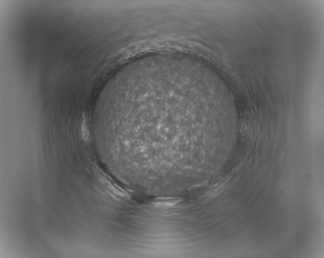 X0000075811490200609291331