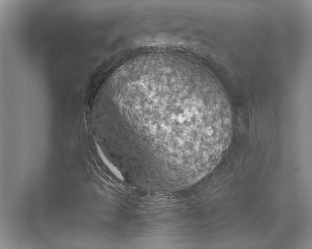 X0000075811493200609291331