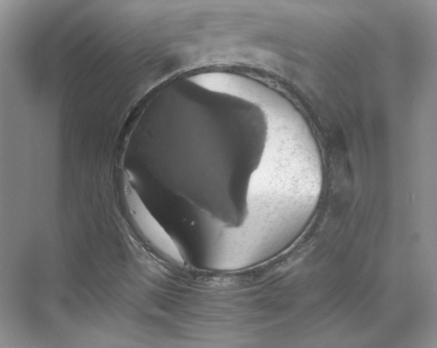 X0000075811497200609291331