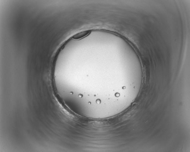 X0000075811500200609291331