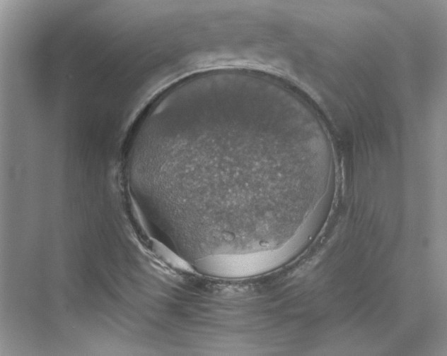 X0000075811501200609291331